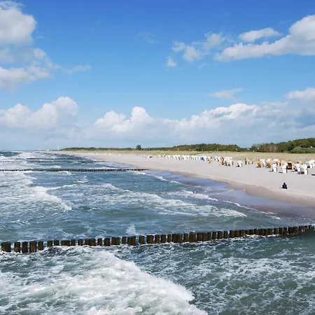 Am Markgrafenheide